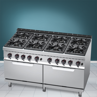 Commercial Cooker and Oven