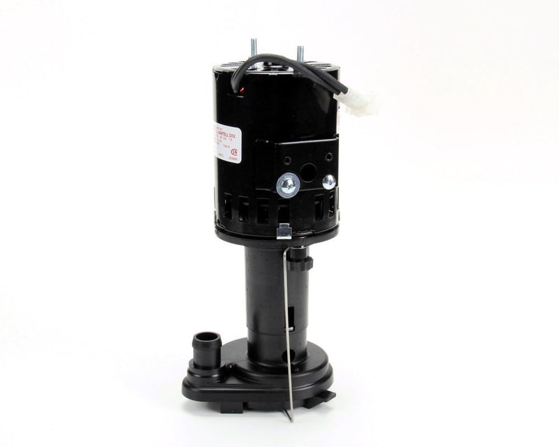 Load image into Gallery viewer, Scotsman Water Pump 12-2586-23, 240V
